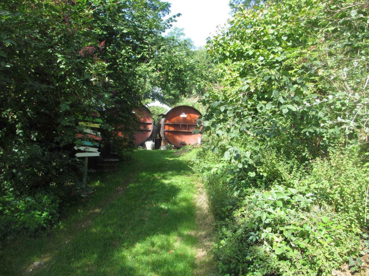 Foudres Du Chene Du Py Bed & Breakfast Villié-Morgon Екстериор снимка